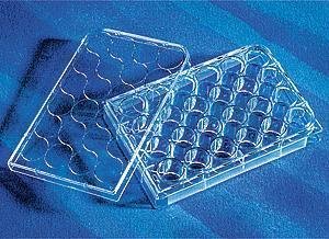 24孔板 平底 超低吸附表面 PS（聚苯乙烯）材质  带盖 灭菌 单个包装