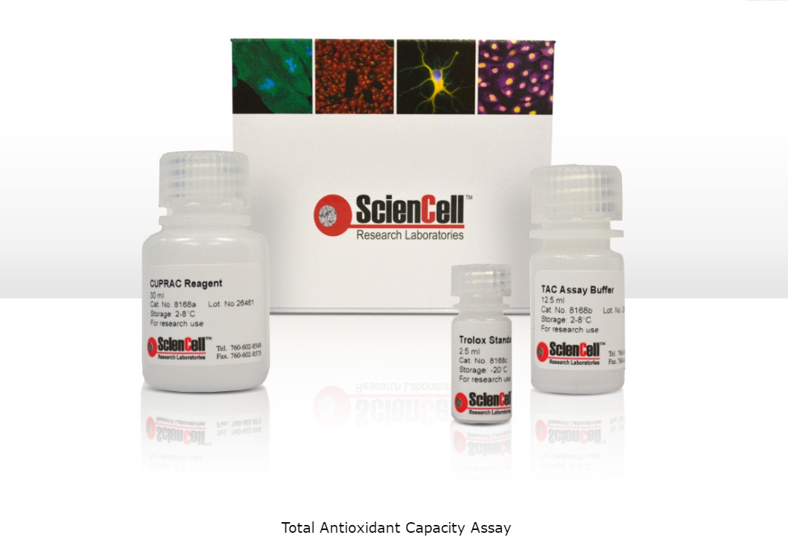 8168-1 (1).png 8168-1 (1).png